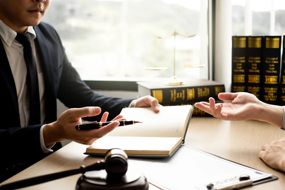 Defence Lawyers